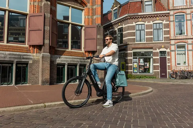 Voltano Luxe E-bike Fietstas / Rugtas