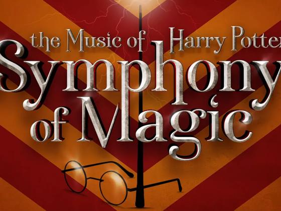 Impressie van The Music of Harry Potter Live