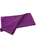 Travelsafe Microvezel Reishanddoek XS