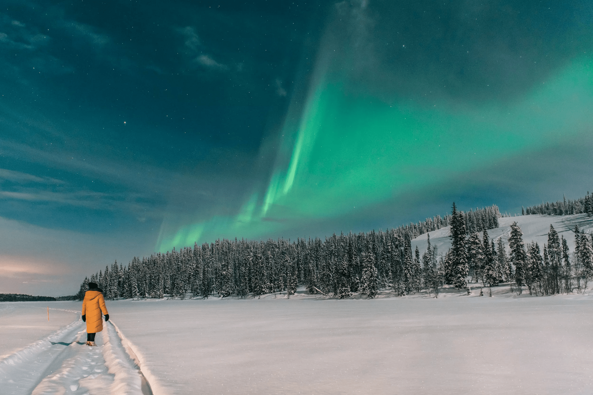 8-daagse wintervakantie Fins Lapland - Posio afbeelding