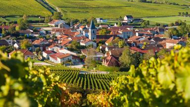 frankrijk_champagne-ardennen_cote-des-bar_wijngaarden-uitzicht-dorp_shutterstock