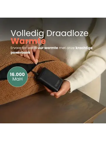 Qnuss Warmtekussen Teddy 45x45