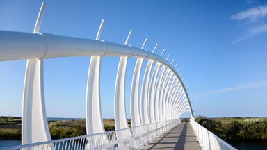 nieuw-zeeland_new plymouth_coastal-walkway_te-rewa-rewa-brug_b.jpg