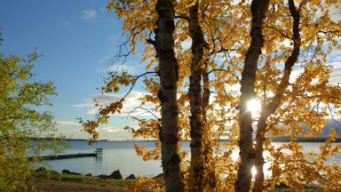 finland_lapand_inarimeer_lake_zonsopgang_zon_boom_shutterstock