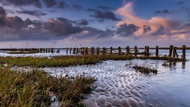 denemarken_jutland_mando-ebbevej_j©Lars Roed