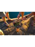 Campinggrill