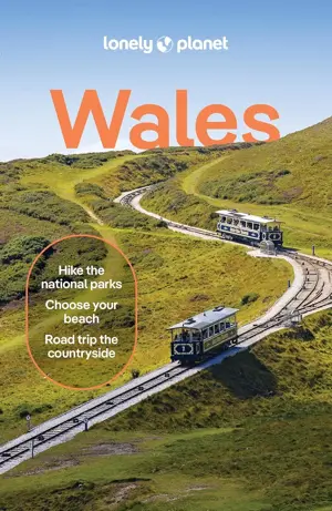 Reisgids Wales 8