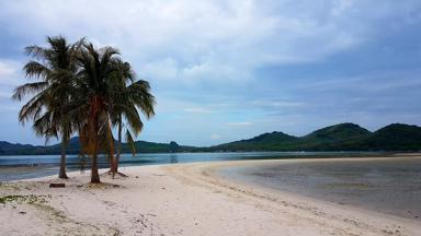 thailand_phang-nga_koh-yao-yai_strand_palmboom_f.jpg