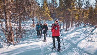 noorwegen_noord-noorwegen_alta_glod-explorer_activiteit-sneeuwschoenwandelen-husky 05