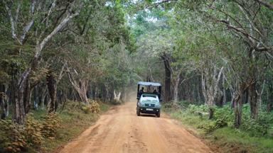 sri lanka_wilpattu national park_safari_onderweg_f