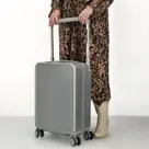 Beagles - Travel - Handbagage koffer