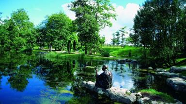 Ierland_Kildare_Irish_National_Stud_Saint_Fiachras_Garden2