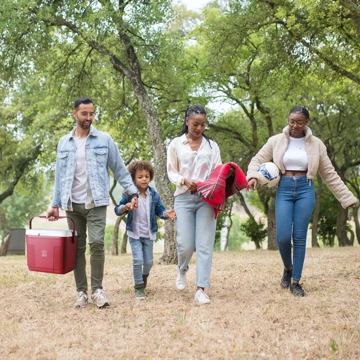 Koelbox - Lunchbox - 22L