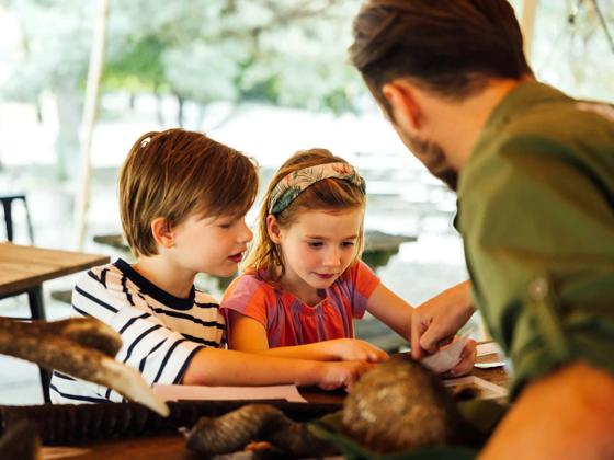 Impressie van Safaripark Beekse Bergen
