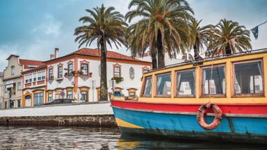 portugal_aveiro_boot_palmboo_kanaal_huizen_shutterstock_1560106016