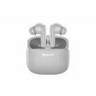 Denver TWE48GR In-ear Bluetooth Oordopjes