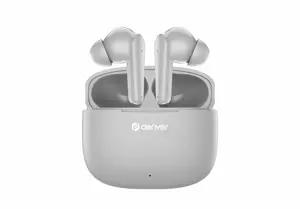 Denver TWE48GR In-ear Bluetooth Oordopjes