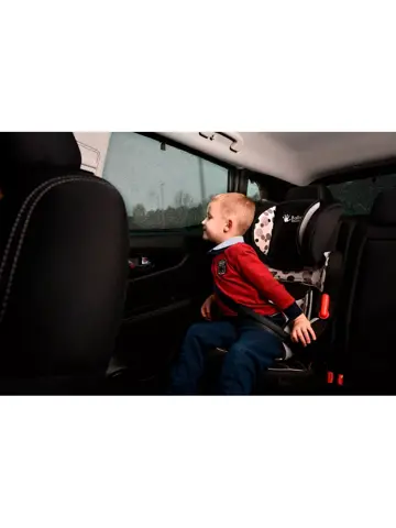 Ford Kuga III 2019 - Zonneschermen - Car Shades