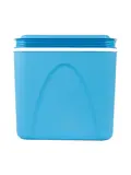 Koelbox 24L - Perfect voor Strand en Picknick
