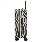 Zebra Trends - Animal Travel - Middelmaat