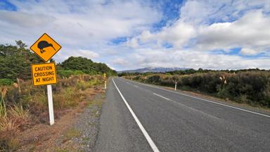 nieuw-zeeland_algemeen_kiwi_verkeerdsbord_privereis_b