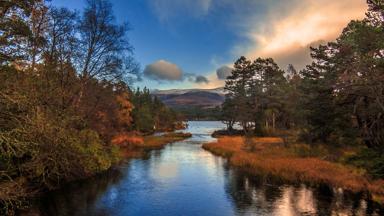 schotland_highlands_cairngorms_loch-morlich_glenmore-forest_GettyImages-553922747