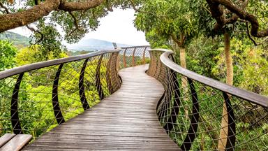 zuid-afrika_west-kaap_kaapstad_kirstenbosch-botanical-garden_shutterstock-1371968483