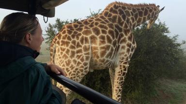 zuid-afrika_west-kaap_albertinia_toerist_safari_giraffe_vrouw_gamedrive_w