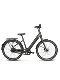 Extreme RM Automatic ebike 13 Villette