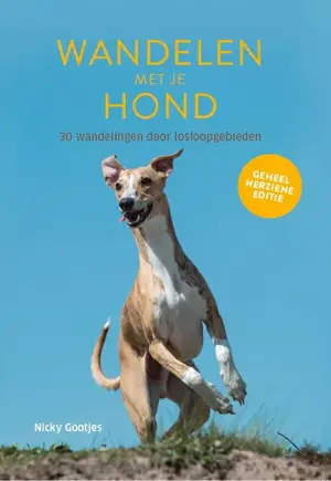 Wandelen met je hond