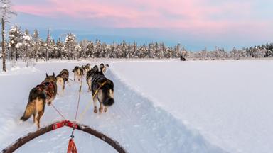 zweden_zweeds-lapland_huskies_sledetocht_zonsopgang_GettyImages-1207129314