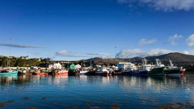 sfeer_ierland_kerry_ring-of-beara_castletown-bearhaven_haven_tourism-ireland (2).jpg