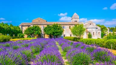 frankrijk_provence_saint-paul-du-mausole_lavendelveld_getty