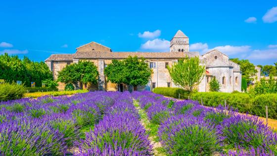 frankrijk_provence_saint-paul-du-mausole_lavendelveld_getty