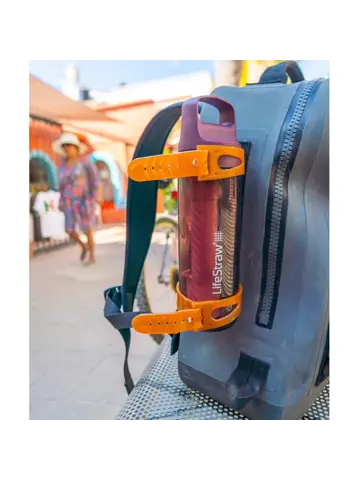 Lifestraw Go 2.0 - Waterfles 650ml - Rood