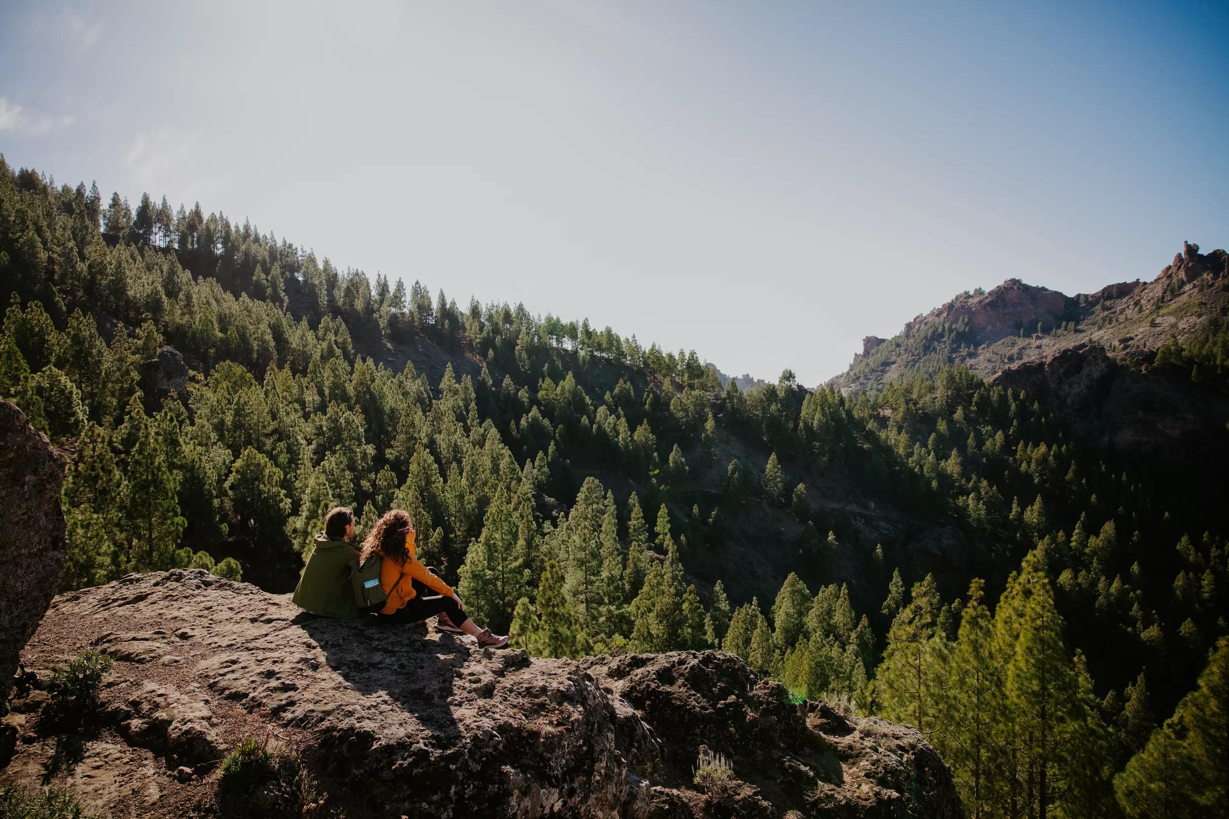 Ontdek de mooiste wandelroutes