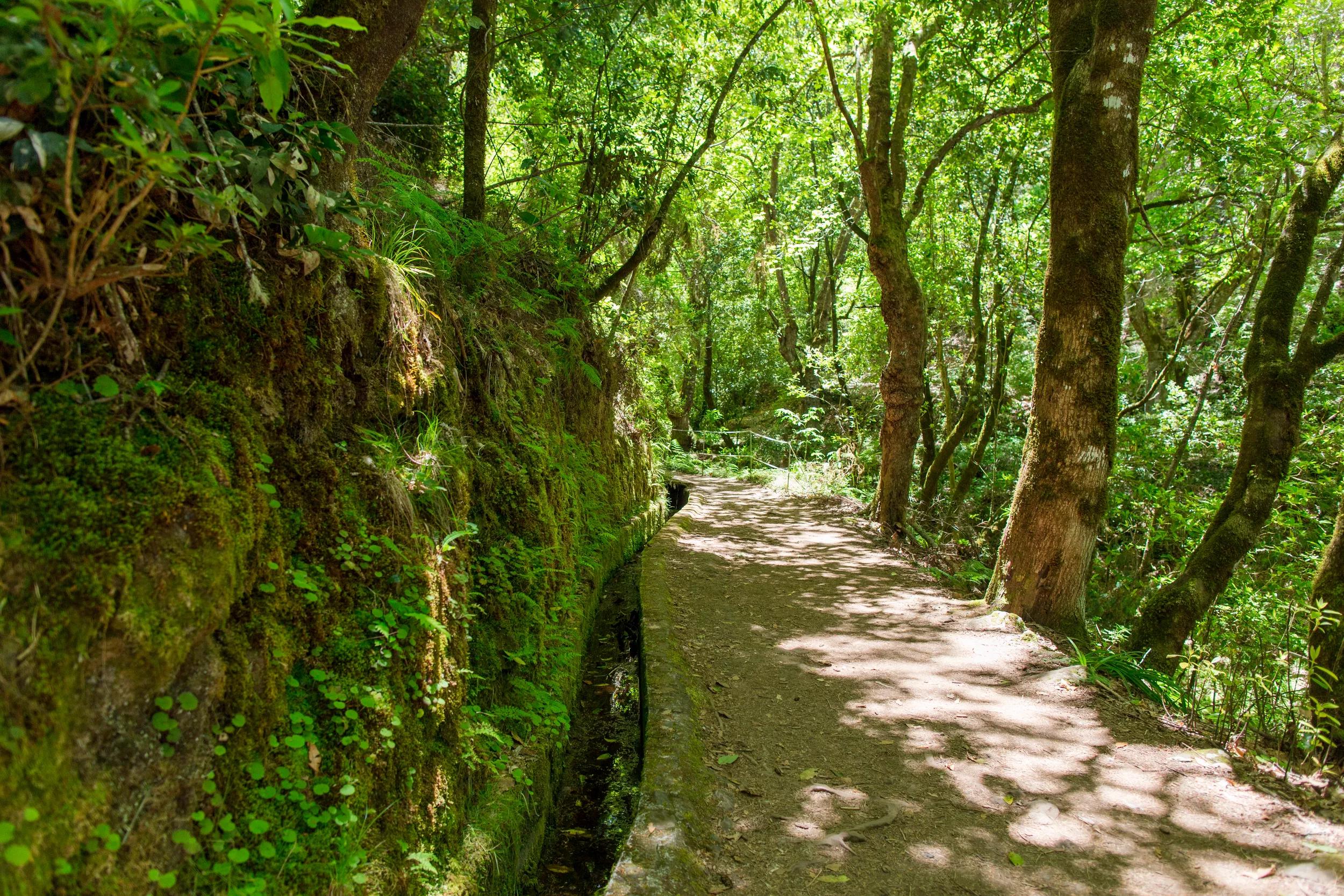 Providing access to the Balcaµes belvedere, which offers beautiful panoramas of the deep valley of Ribeira da Metade and the parish of Faial.