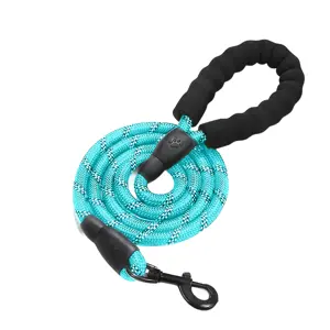 Reflecterende Hondenriem 3m