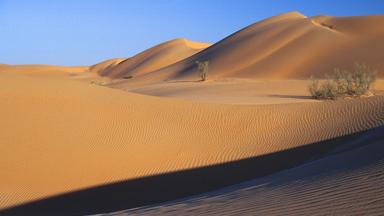 oman_wahiba-sands_zandwoestijn_zandduinen_a