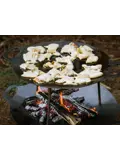 Petromax Smeedijzeren Grillplaat 38cm