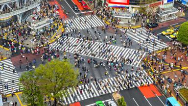 japan_tokyo_shibuya-zebrapaden_mensen-drukte_Shutterstock