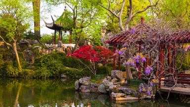 china_suzhou_tuin_natuur_b