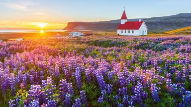 IJsland, Westfjord, Breidavik, kerk, zomer - GettyImages-1369887696