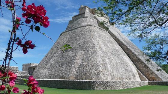 mexico_uxmal_piramide_bloem_w.JPG