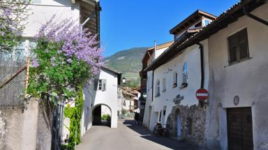 italie_zuid-tirol_egna_dorp_straat_blauwe-regen_huizen
