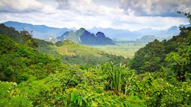 thailand_zuid-thailand_surat-thani_khao-sok-nationaal-park_uitzicht-over-jungle_7_b.jpg