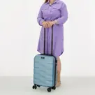 Beagles - Go Travel - Handbagage 55cm
