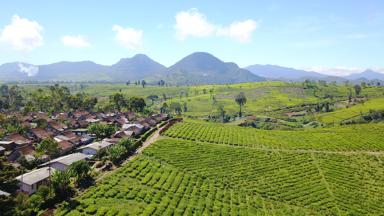 indonesie_java_platteland_dorpje_luchtfoto_journalist
