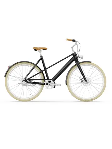 Valencia E-Bike 54CM