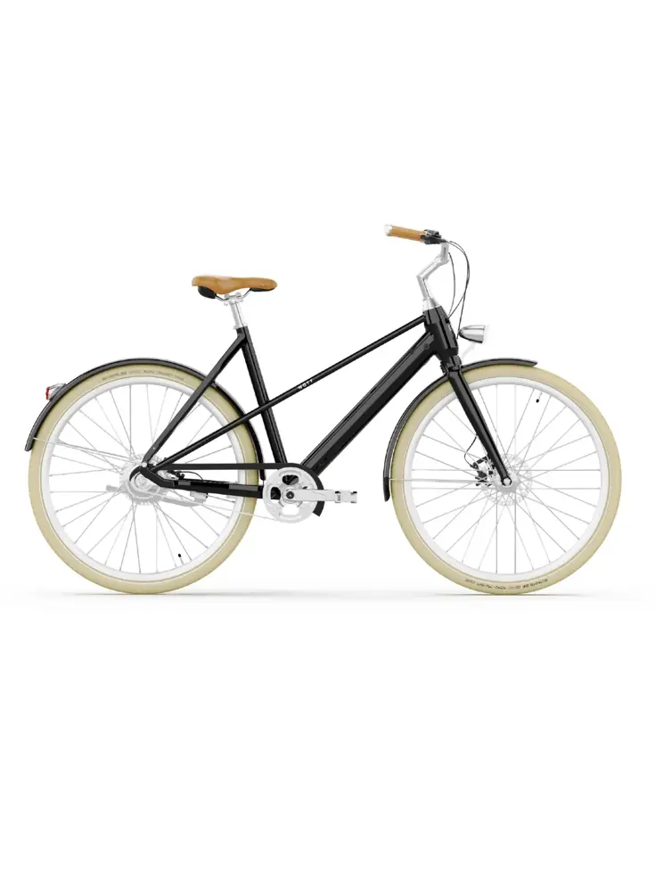 Valencia E-Bike 54CM